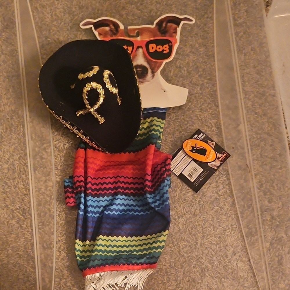 Colorful Dog Poncho with Black Hat